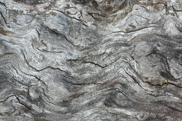 Текстура старого дерева © Alexander Piragis