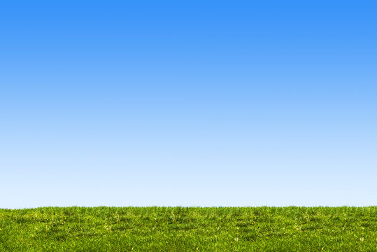 sky and grass background