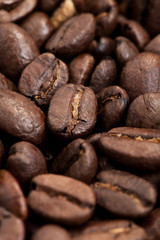 Coffee Bean