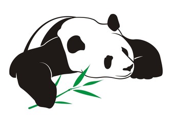 Panda with bamboo