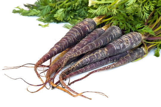 Purple Carrots