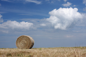 hayball