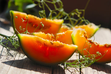 cantaloupe-melone