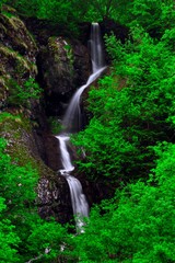 Waterfall surrounded by green bushes and trees in the Alps. Water flowing down mountain