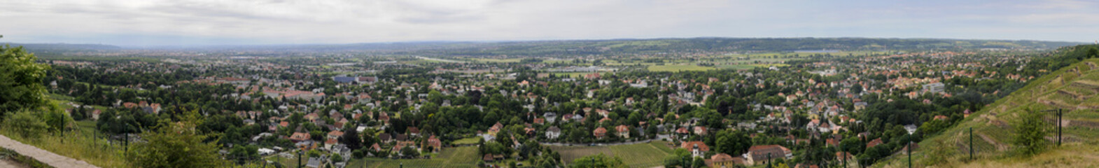 Fototapeta na wymiar Radebeul winnice, panoramiczny, Saksonia