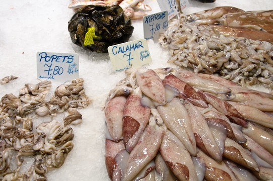 Raw squids calamares on market stall