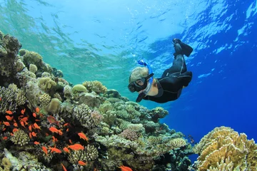 Fotobehang Beautiful Woman snorkeler dives down to a coral reef © Richard Carey