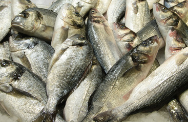 Obraz premium Fresh fishes on a market stall