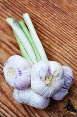 Garlic © Stefano Neri