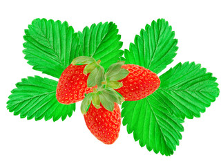strawberry isolated on white background