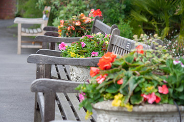 Fototapeta na wymiar Benches in garden