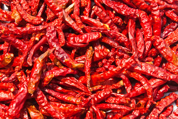 Dried chili background texture