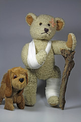 Verletzter Teddy mit Krücke und Hund