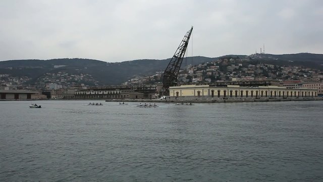 Gara di canottaggio