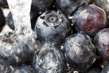 Blueberries being washed