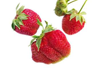 Red and green strawberries.