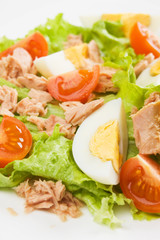 Egg and tuna salad
