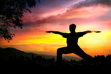 Yoga silhouette virabhadrasana II warrior pose