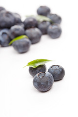 fresh blueberries