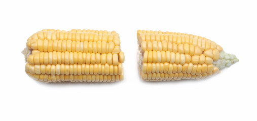 corn isolated on white