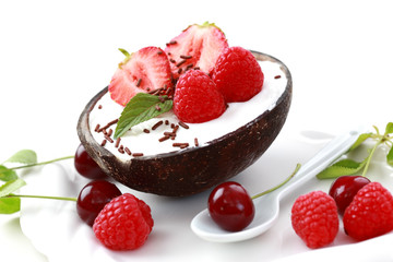 Coconut ice cream