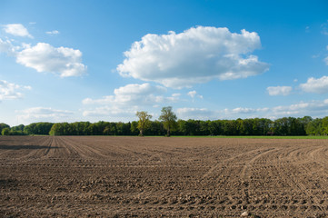 fallow field