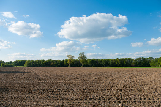 fallow field