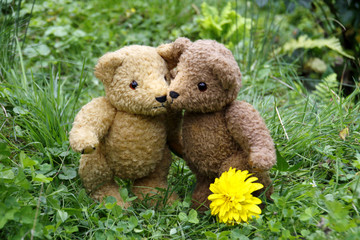 Zwei sich umarmende Teddybären auf einer Wiese