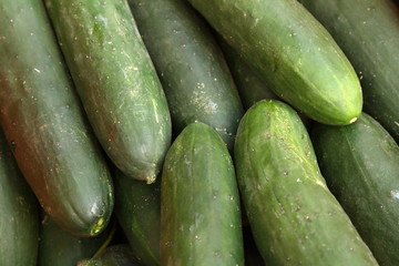 Spanish cucumbers