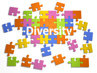 3d A diversity puzzle