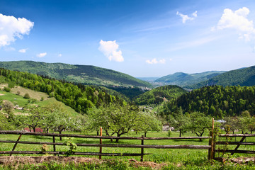 Fototapeta na wymiar Carpathian Mountains.