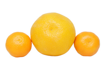Orange and mandarins