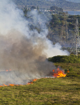 Heathland Fire