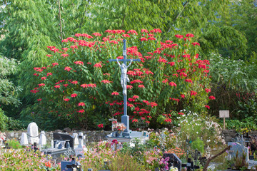 cimetière paysager, Hell-Bourg, Salazie, île de la Réunion