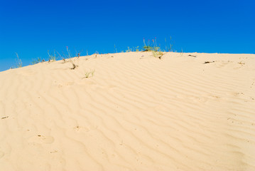 Yellow and blue - sand and sky.