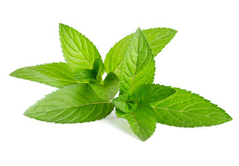 Fresh green mint isolated on white - 33038719