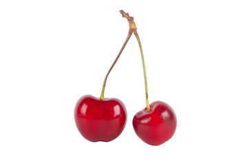 cherries on white background
