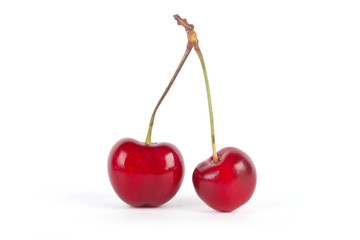 cherries on white background