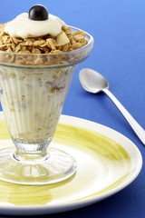 delicious yogurt and granola