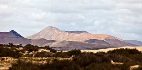 mountains