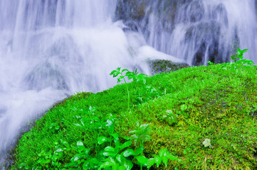 山の小川の流れ