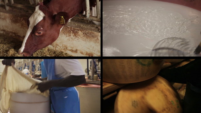 Food industry slit screen