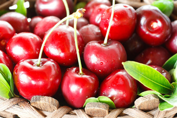 Fresh cherries