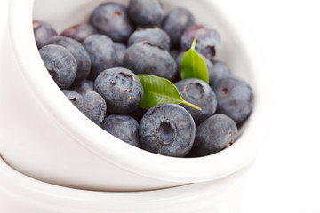 fresh blueberries