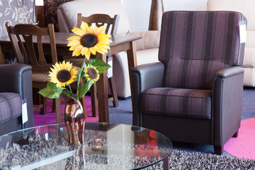 Showroom for retail of modern furniture