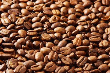 texture of the coffee beans