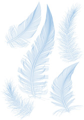 set of blue vector feathers