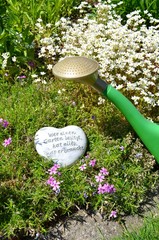 Bilder und Videos suchen: gartenspruch