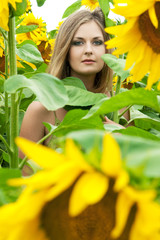 Naklejka premium girl with sunflowers