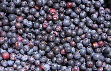 Close-up fresh blueberry background